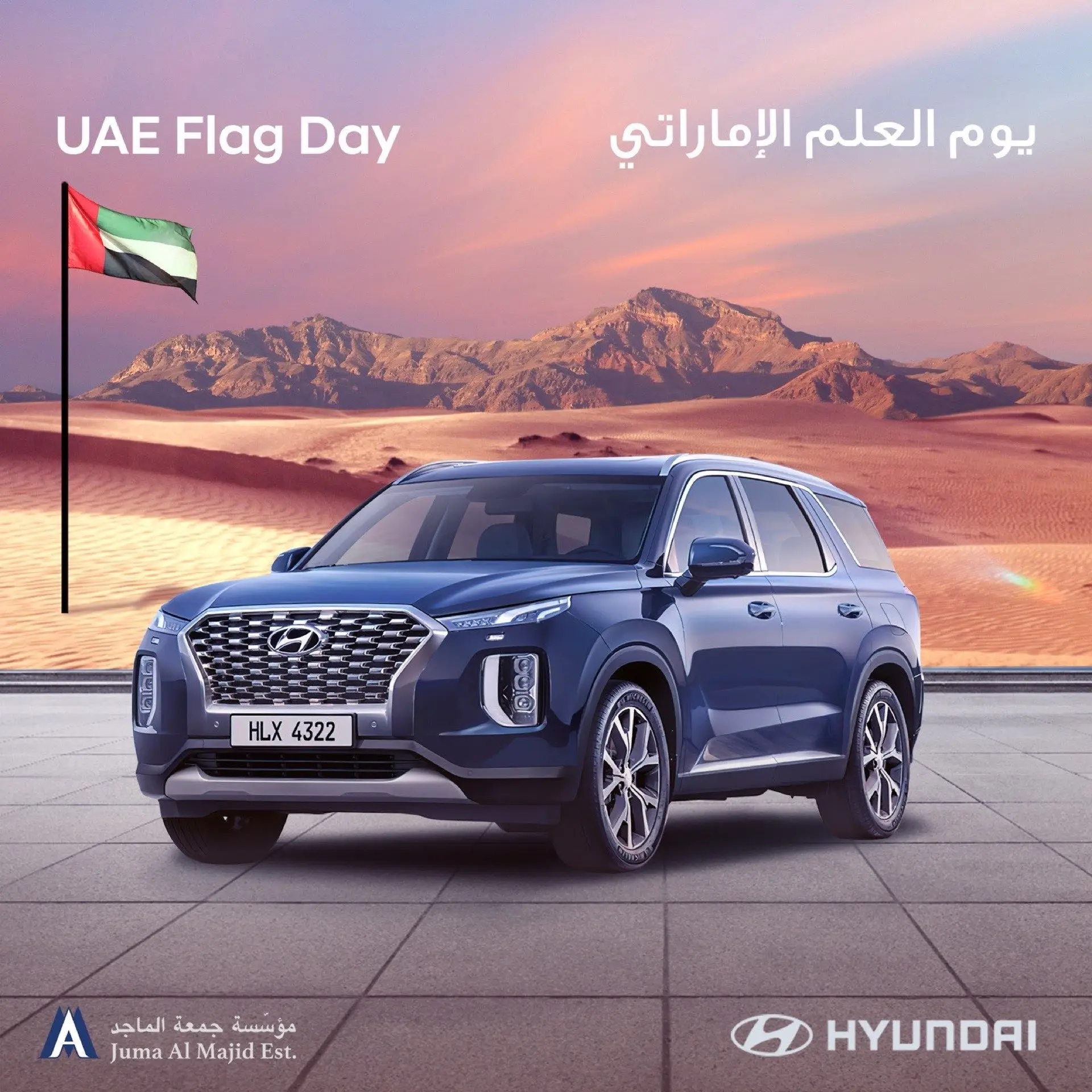 Hyundai-flag-day