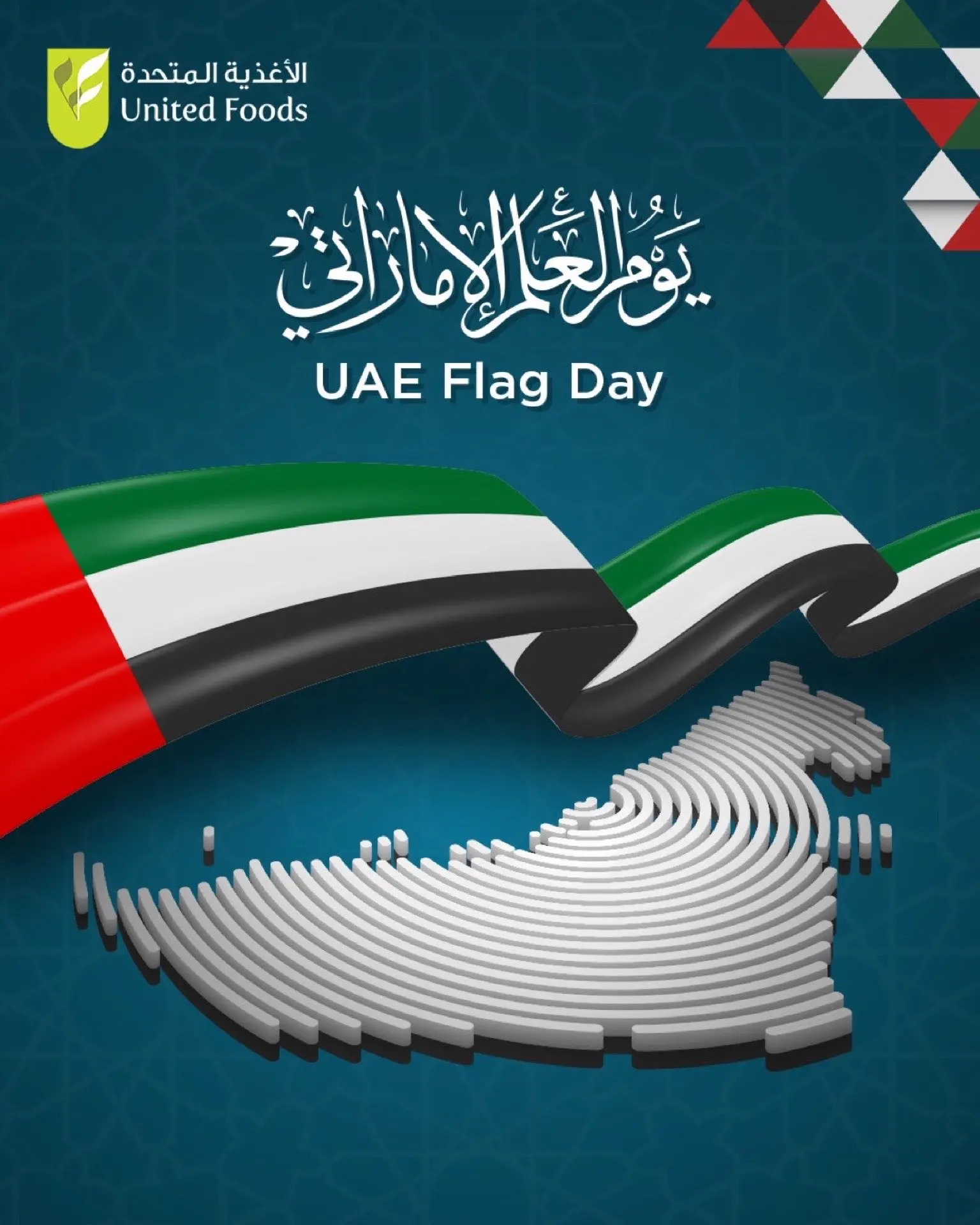 UFC-flag-day
